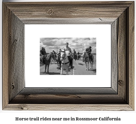 horse trail rides near me in Rossmoor, California